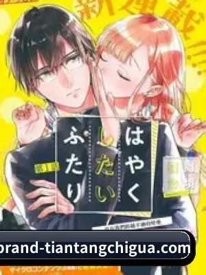 内容生态